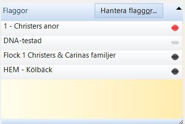 I flaggpanelen finns visas fyra flaggor.